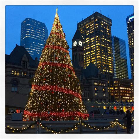 Toronto's Christmas Tree at Nathan Phillip's Square. #kend… | Flickr