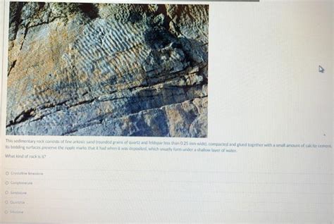 Solved This sedimentary rock consists de fine arkose sand | Chegg.com