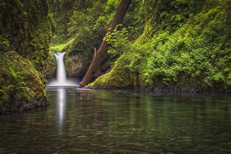 Punch Bowl Falls Photograph by Chris Reed - Fine Art America