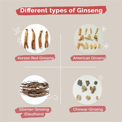 Discover the Best Types of Ginseng to Boost Energy and Improve Overall ...