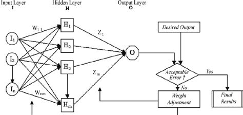 Typical architecture of Multi-Layer Perceptron (MLP) neural network | Download Scientific Diagram