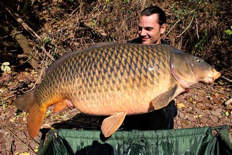 Euro Methods For Monster Carp - The Fisherman