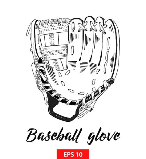 Premium Vector | Hand drawn sketch of baseball glove in black