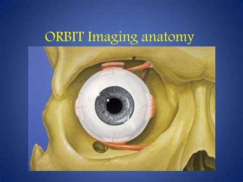 MRI SECTIONAL ANATOMY OF BRAIN | PPT