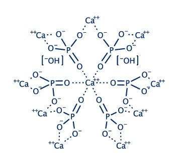 Nano Hydroxyapatite Powder - EPRUI Biotech