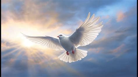 What Does a Dove Symbolize in the Bible? - YouTube