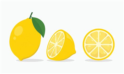 Fresh lemon whole and slice vector illustration 13236601 Vector Art at Vecteezy