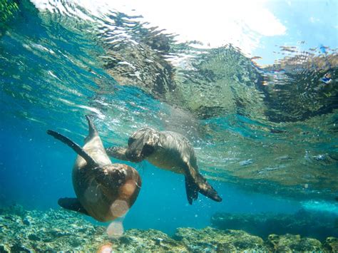 10 of the World's Best Snorkeling Destinations | Smithsonian