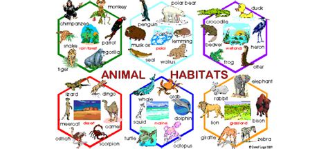 Types Of Habitats And The Animals That Call Them Home A-Z, 59% OFF