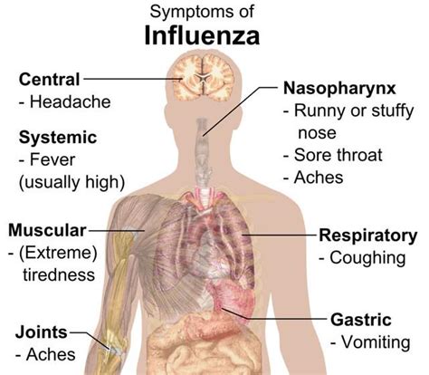 10 Symptoms of mantle cell lymphoma You Should Never Ignore - Huffington News