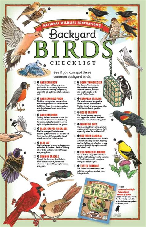 Free Printable: Backyard Birds Checklist