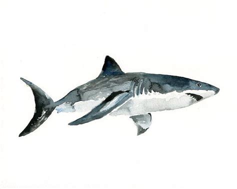 SHARK Original watercolor painting 10X8inch | Shark art, Shark painting, Shark drawing