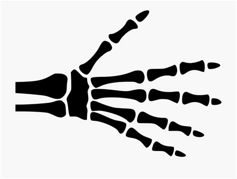 Free Skeleton Hand Cliparts, Download Free Skeleton Hand Cliparts png images, Free ClipArts on ...