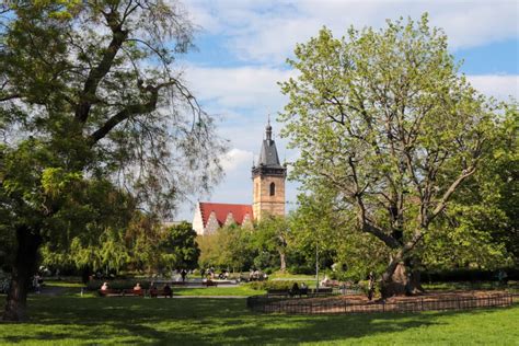 Study in Historic Prague: Renowned University | Prague.org