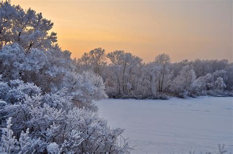 Winter Landscape Free Stock Photo - Public Domain Pictures
