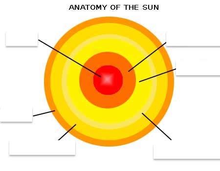 Layers of the sun Diagram | Quizlet