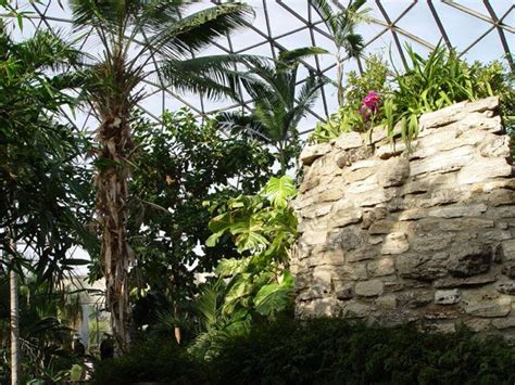 Photos for Des Moines Botanical Center in Des Moines, IA