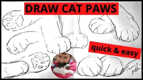 How to Draw Cat Paws Easy - quick pose gesture sketch for beginner kitty artist, simple practice ...