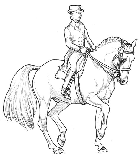 Dressage Horse Drawing at GetDrawings | Free download