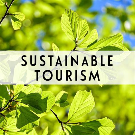 Sustainable tourism guides and resources to help you reduce the environmental and cultural ...