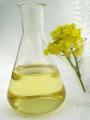 Canola Oil Nutrition