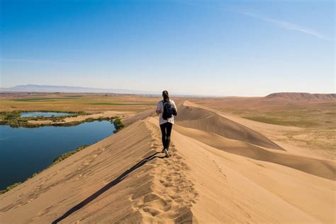 Day hike at Bruneau Sand Dunes state park, Idaho with this beauty. : hiking