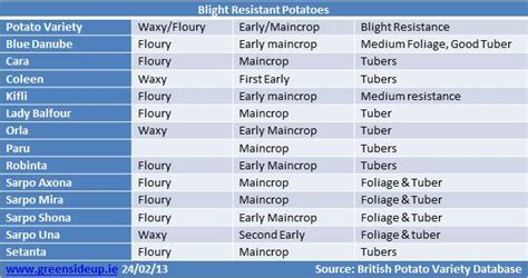 Ditch the Chemicals and Chose Blight Resistant Potatoes This ...