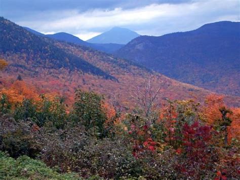 Northeastern Trees May Be Extra Colorful This Year | Live Science