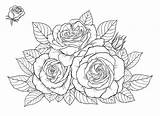 Realistic Rose Coloring Pages sketch template