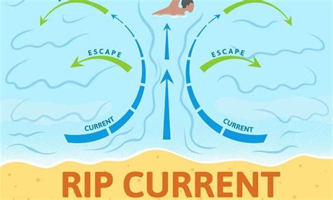 The Differences Between Rip Currents, Undertows, and Rip Tides • The Grom Life