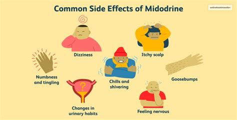 Midodrine 101: Usage, Dosage, Side Effects, And More!