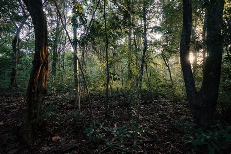 PANAMA: Wild Nature In The Heart of the City — Conservation Atlas