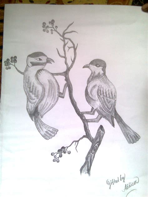 Pencil Sketch Of Love Birds - Desi Painters