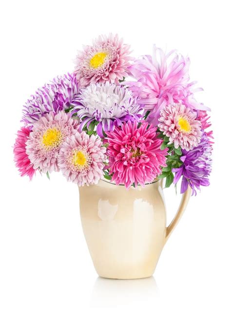 Bouquet Of Aster Flowers In Pot Isolated On White Background Stock ...