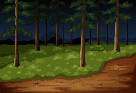 Forest scene with trees and trail at night 303514 Vector Art at Vecteezy