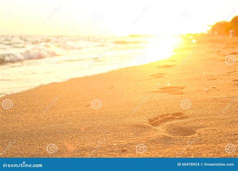 Footprints. stock photo. Image of light, ocean, sand - 60478924