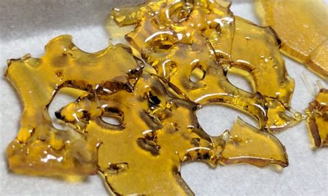 2020’s Best Strain for Shatter in Canada | Shatter Strains