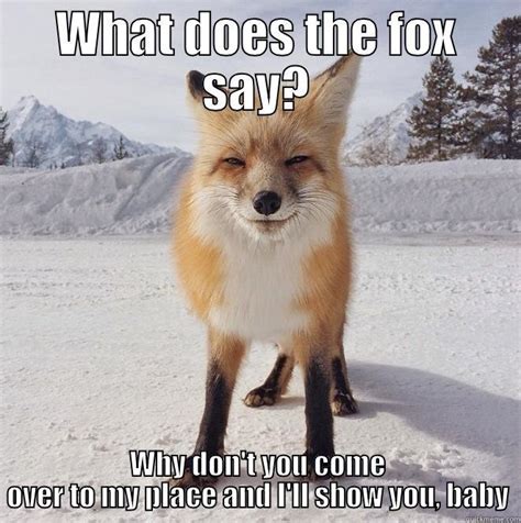 I'll show you what the Fox says - quickmeme