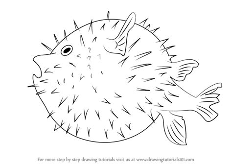 Learn How to Draw a Pufferfish (Fishes) Step by Step : Drawing Tutorials