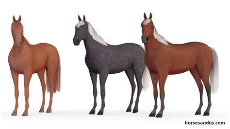 The 3 versions of Silver Horses: Silver black, Silver Bay, Silver Red