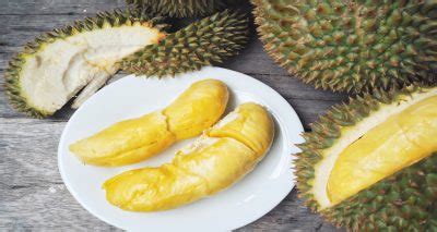 Durian Fruit: Nutrition Facts, Health Benefits, Uses & Recipes