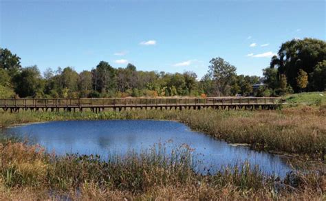 Alewife Reservation Constructed Wetland Grand Opening Ceremony ...