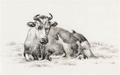 Lying cow (1825) by Jean | Free Photo Illustration - rawpixel