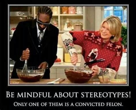 Snoop Martha Stewart Stereotype | Funny Stuff | Pinterest