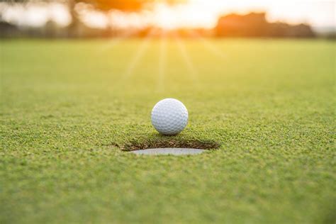 Golfer is putting golf ball on green grass at golf course for game with blur background and ...