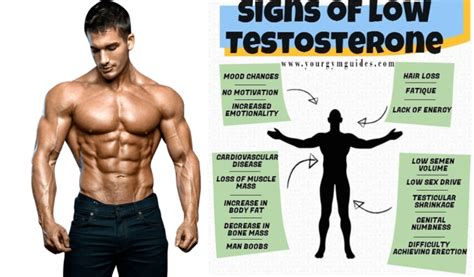 12 sign of low Testosterone in men- increasing testerone naturally faster