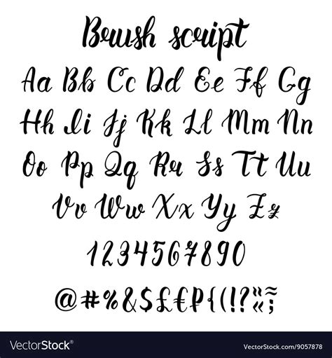 Handwritten latin calligraphy brush script Vector Image