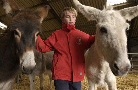 Brilliant pictures show 25 years of Lincolnshire attraction Rand Farm Park - Lincolnshire Live