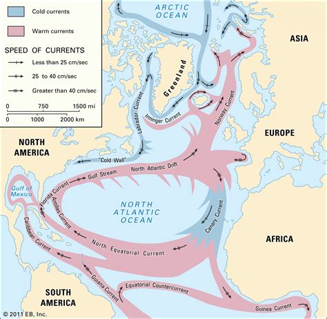 Atlantic Ocean Currents - Inge Regine