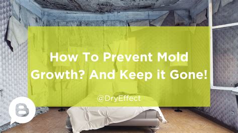 Prevent Mold Growth - Dry Effect Restoration of Cincinnati